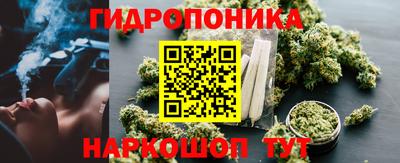 PSILOCYBIN Донской