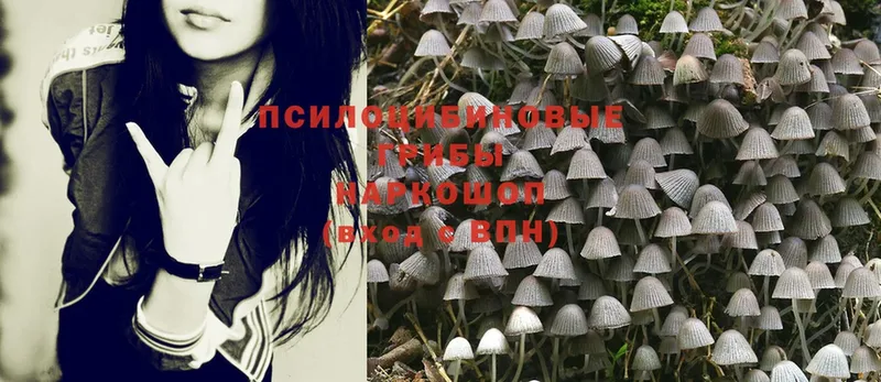 Галлюциногенные грибы Psilocybine cubensis  МЕГА tor  Карасук 