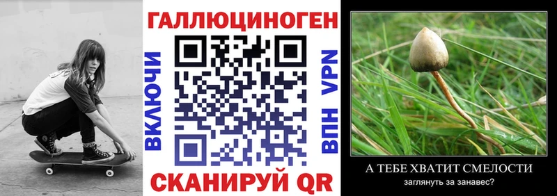 Псилоцибиновые грибы мухоморы  Карасук 